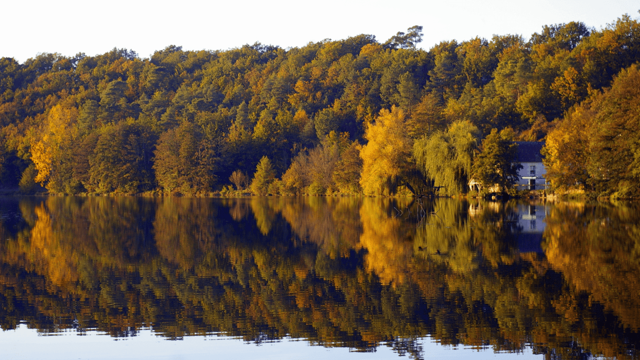 The 10 Best Things To Do In Loire Valley Trip From Paris