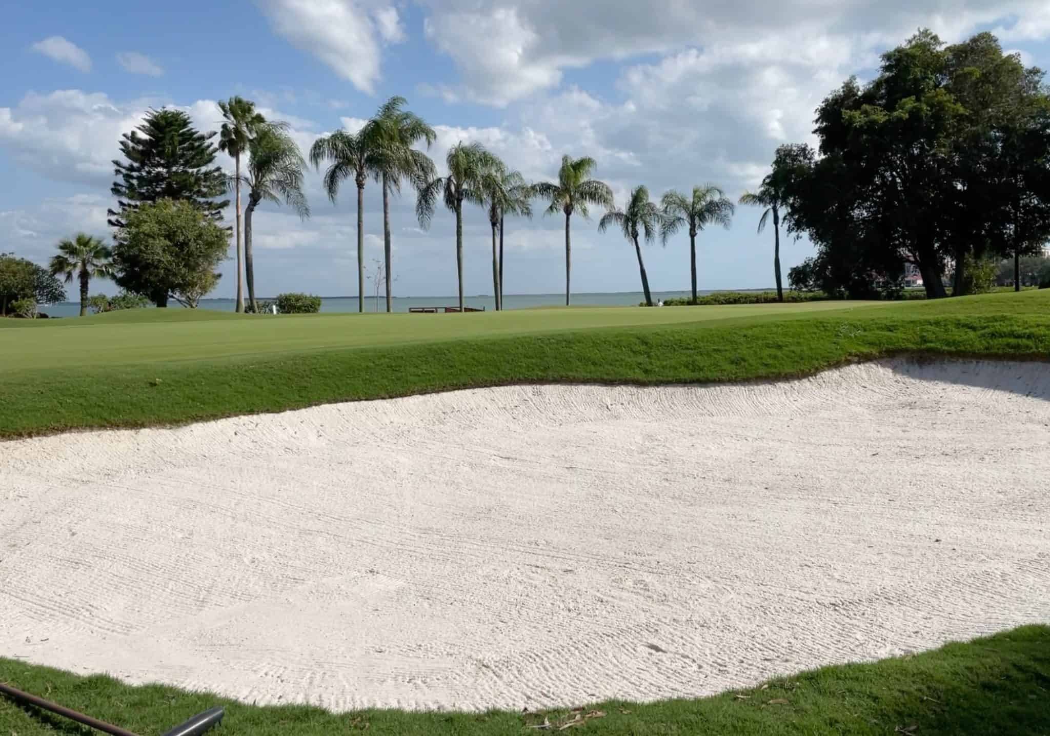 5 Best Pinellas County Golf Courses St Pete FL Golf