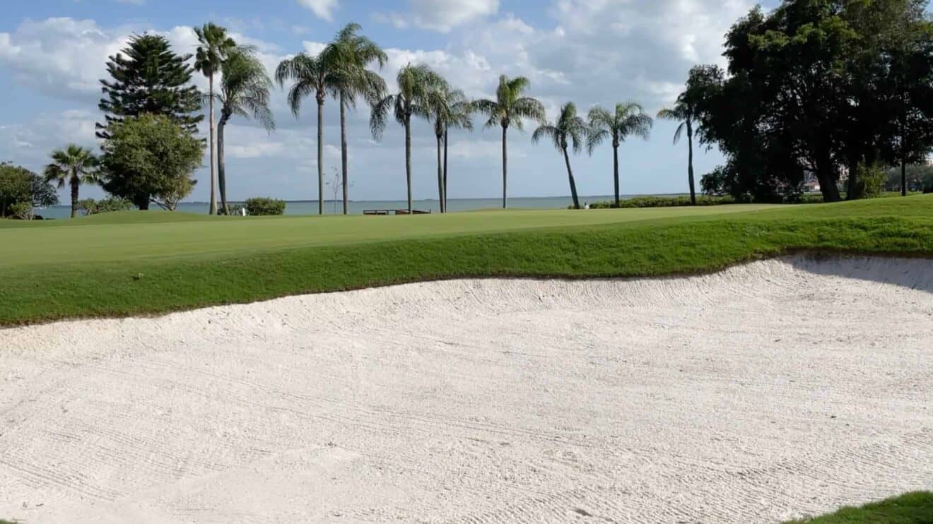 7 Best Pinellas County Golf Courses St Pete FL Golf