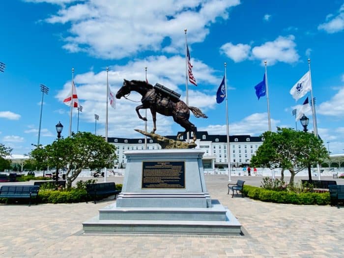 World Equestrian Center Ocala Guide + 5 Best Things to Do