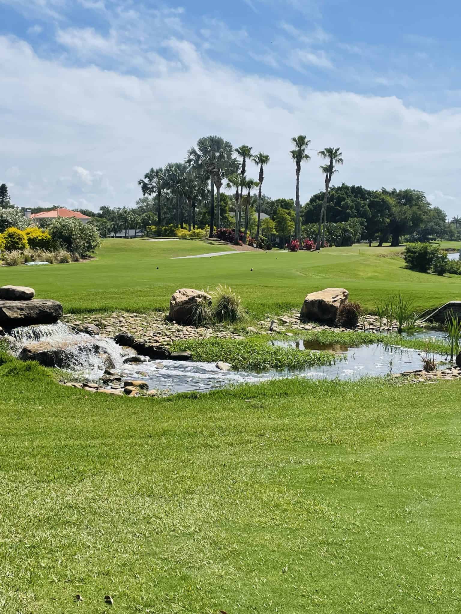 7 Best Pinellas County Golf Courses St Pete FL Golf