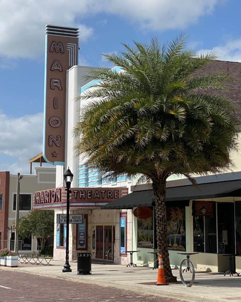 23 Fun Things to Do in Ocala Florida + Local Tips in 2023