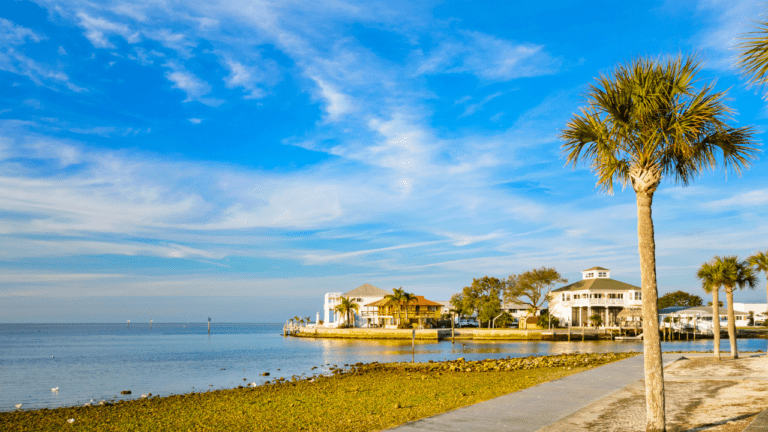 12 Best Beaches Near New Port Richey, Florida You'll Love